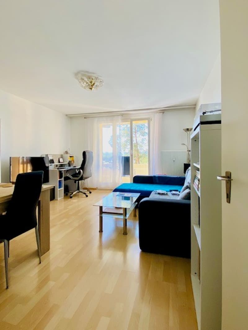 Charmante 3-Zimmer-Wohnung mit Balkon und schöner Aussicht in Attiswil (10)