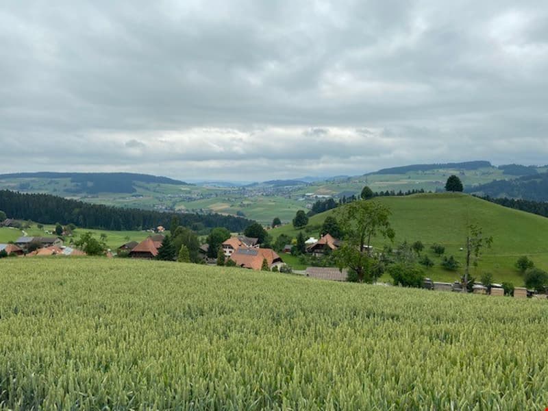 Charmante 2-Zimmer-Wohnung mit Panoramablick in Zäziwil (3)