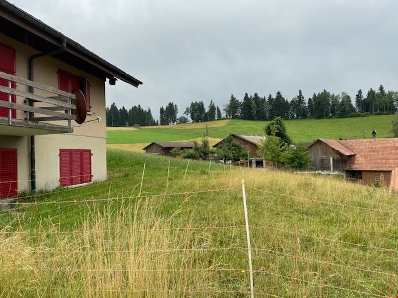 Charmante 2-Zimmer-Wohnung mit Panoramablick in Zäziwil (6)