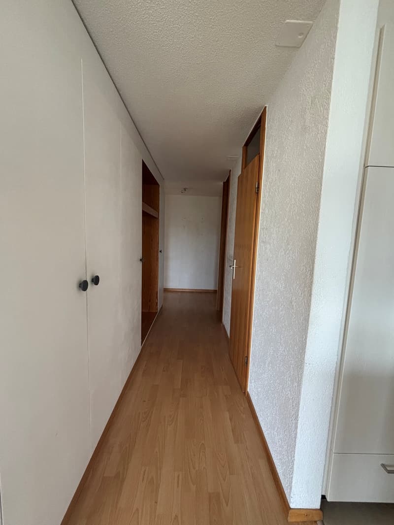 Grosszügige 4.5-Zimmer-Wohnung an ruhiger Lage (2)