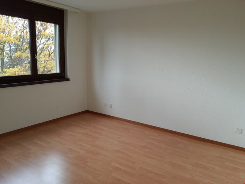 Grosszügige 4.5-Zimmer-Wohnung an ruhiger Lage (4)
