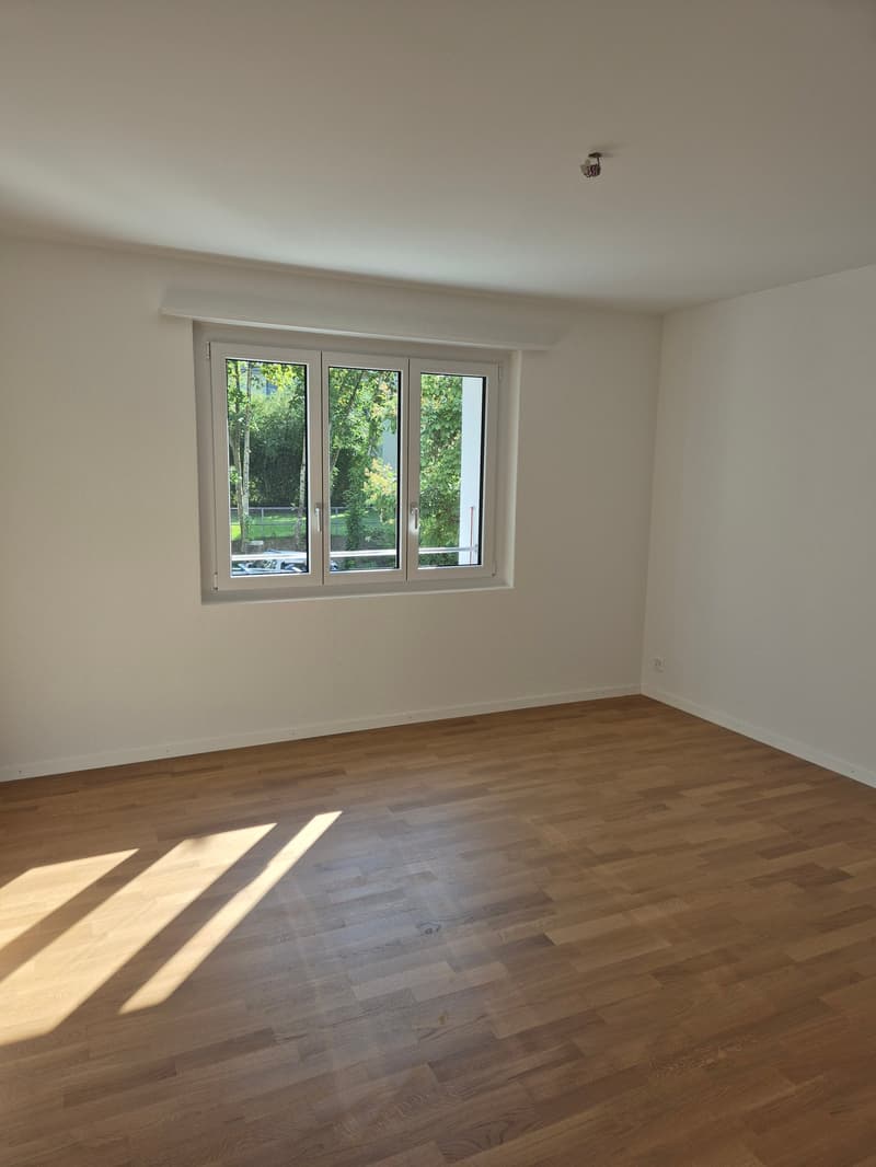 Moderne 4.5-Zimmer-Wohnungen mit grossem Balkon (5)