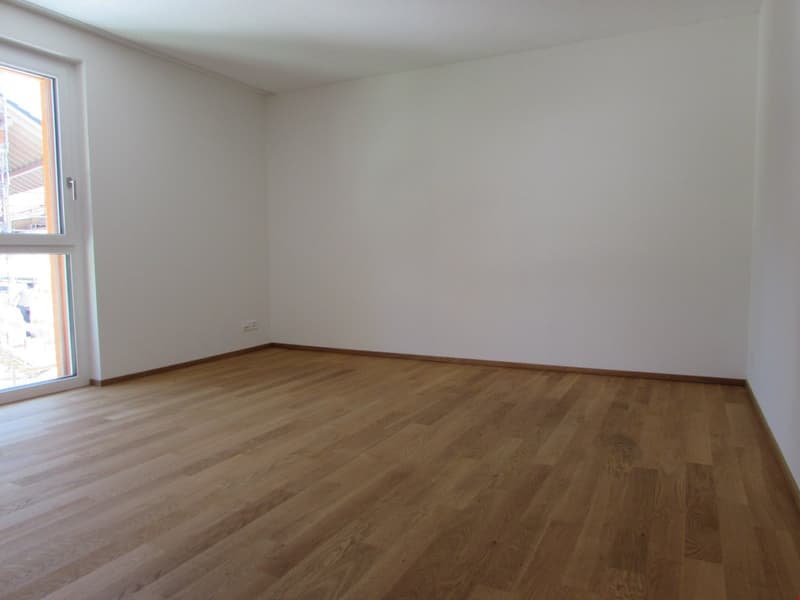 Schöne 4.5-Zimmer-Wohnung zu vermieten (9)