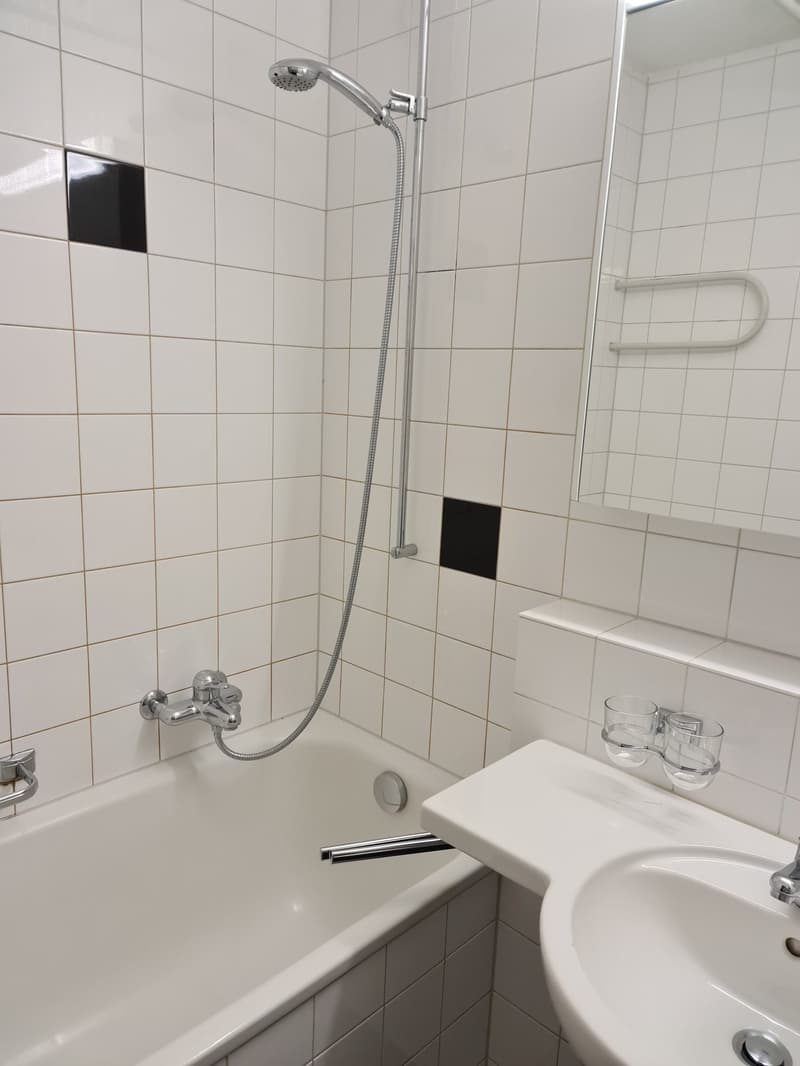 Wunderschöne 4.5-Zimmer-Wohnung mit schöner Aussicht (4)