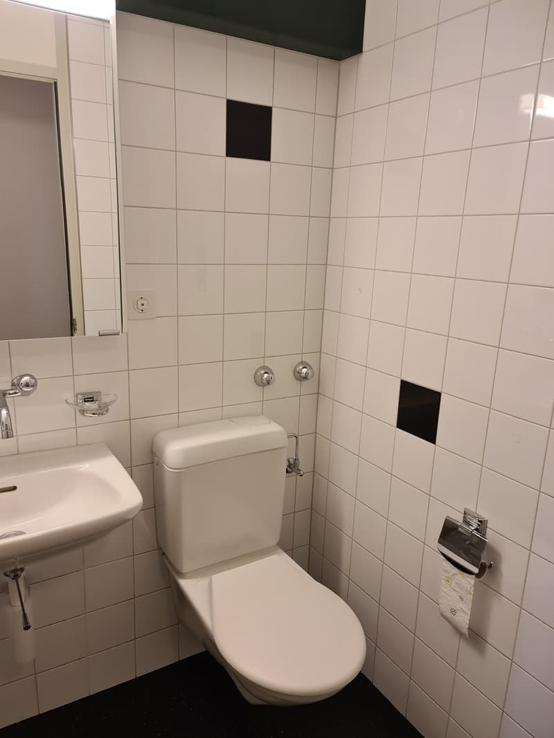 Wunderschöne 4.5-Zimmer-Wohnung mit schöner Aussicht (3)