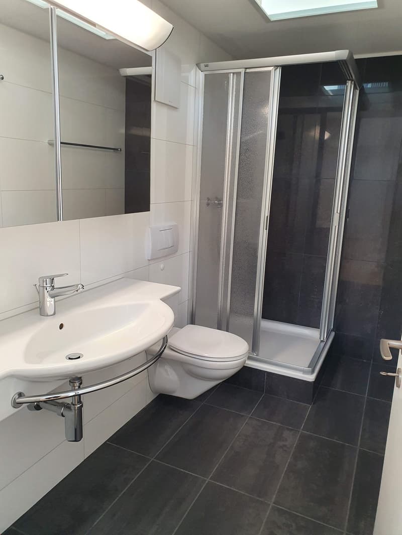 Lichtdurchflutete 4.5-Zimmer-Attikawohnung mit grosser Eckterrasse (8)