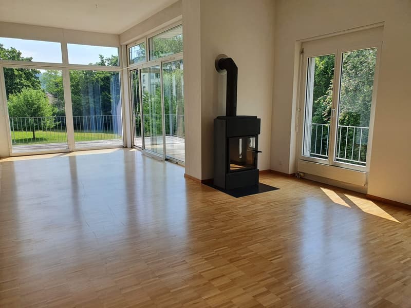 Lichtdurchflutete 4.5-Zimmer-Attikawohnung mit grosser Eckterrasse (4)