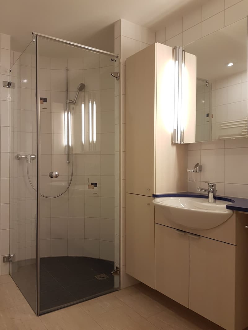 Grosszügige Wohnung im Zentrum von Oberdiessbach (8)
