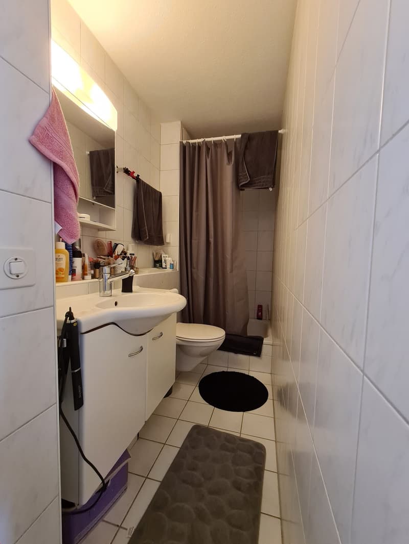 Schöne Wohnung an sonniger Lage (4)