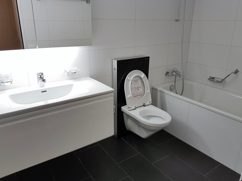 neu sanierte 3.5-Zimmer-Wohnung mit zwei Balkonen (6)