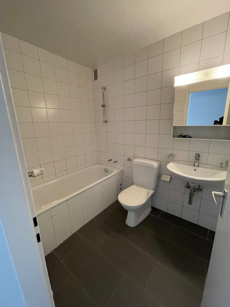 Charmant appartement de 2 pièces à Veytaux avec vue sur le lac (5)