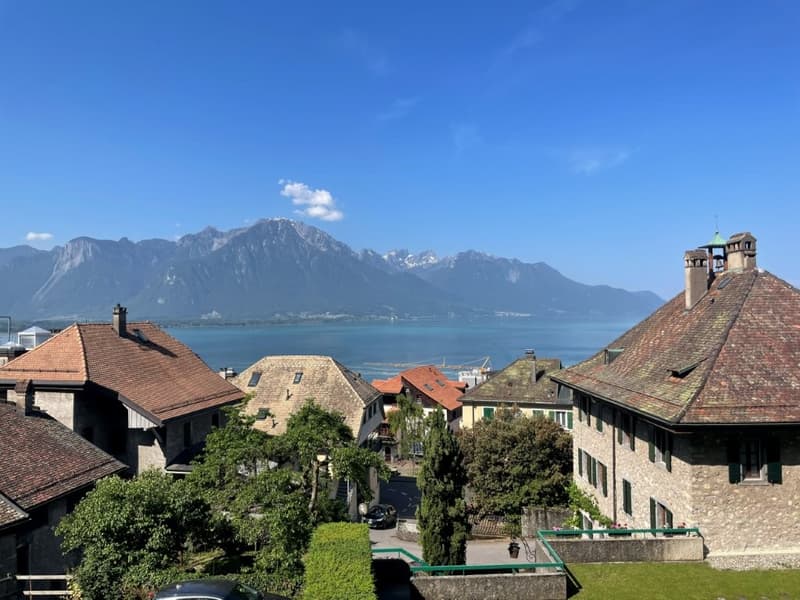 Charmant appartement de 2 pièces à Veytaux avec vue sur le lac (1)