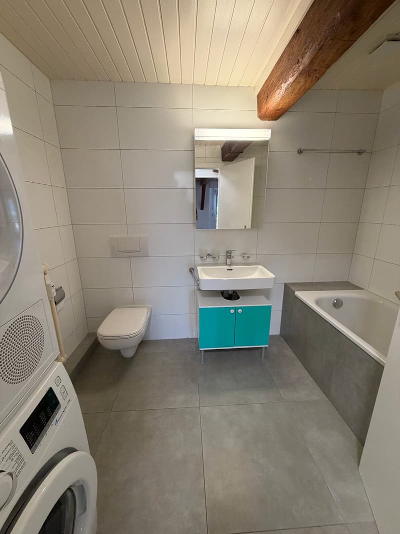Charmant appartement de 4.5 pièces à Yvorne – À louer dès maintenant (9)