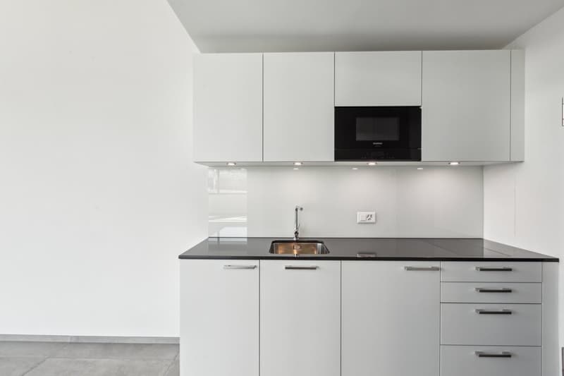 Modern, minimalist kitchen with white cabinets, black countertops, built-in microwave, and a dishwasher