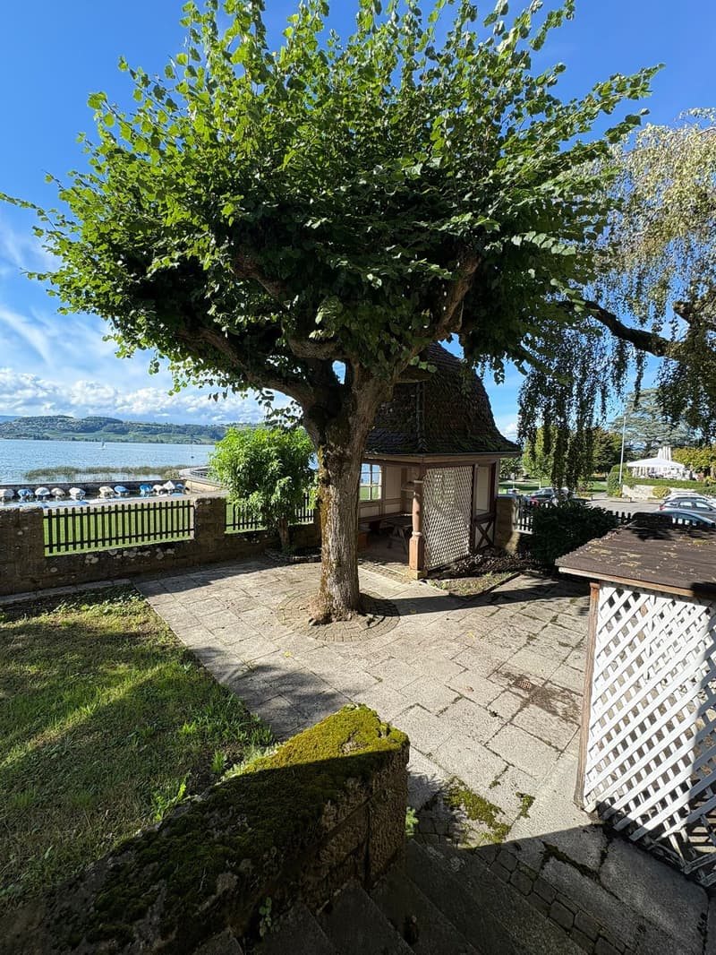 Historische Villa am Murtensee (10)