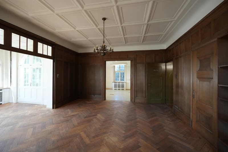 Historische Villa am Murtensee (4)