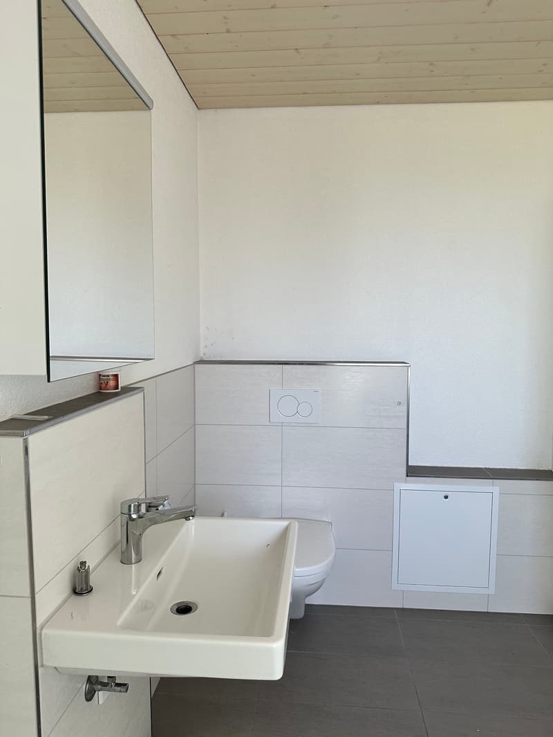 moderne 2-Zimmer-Wohnung mit gedecktem Sitzplatz in der alten Käserei, Detligen (8)