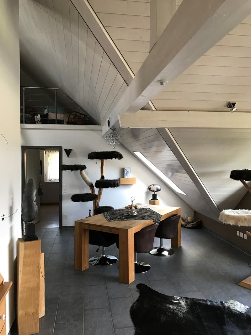 grosszügige 3.5-Zi-Dachwohnung mit wunderbarer Aussicht! (5)