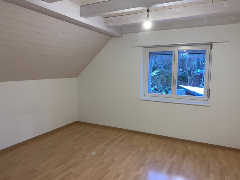 grosszügige 3.5-Zi-Dachwohnung mit wunderbarer Aussicht! (15)