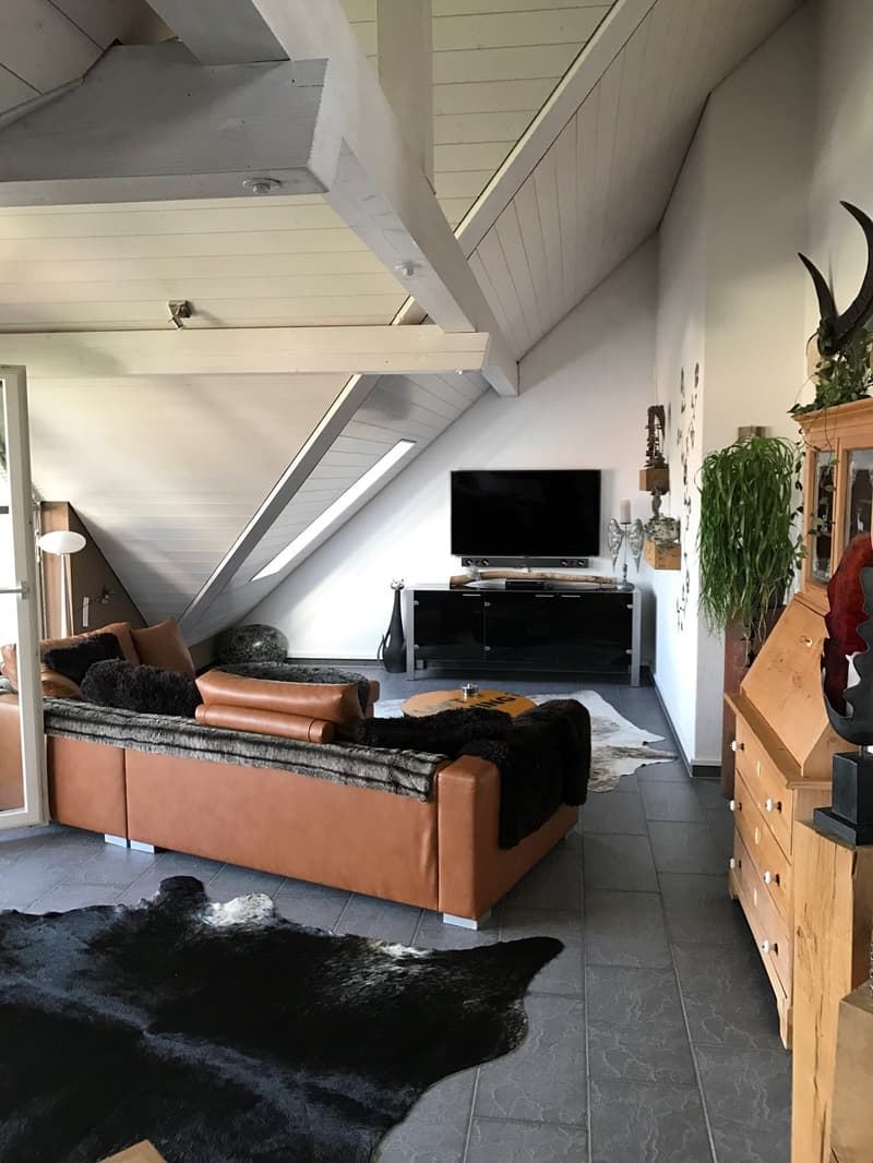 grosszügige 3.5-Zi-Dachwohnung mit wunderbarer Aussicht! (3)