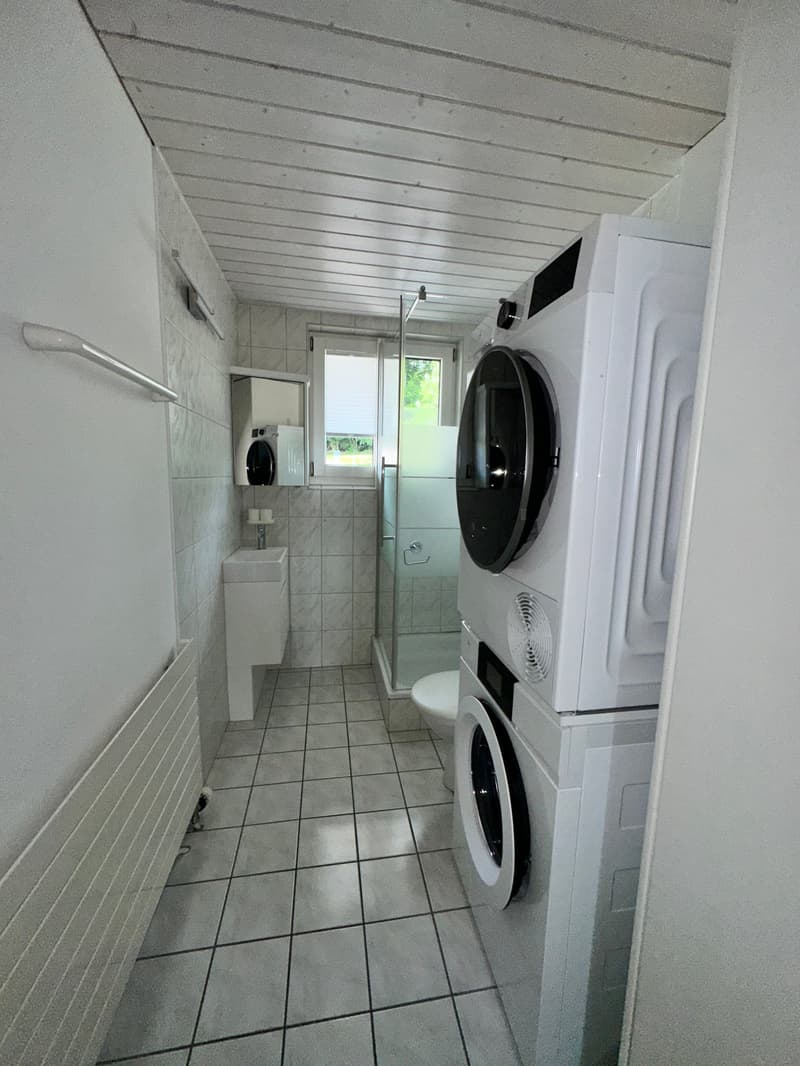 wunderschöne 5.5 Zimmer Maisonette-Wohnung mit Top-Aussicht in Grossaffoltern (16)