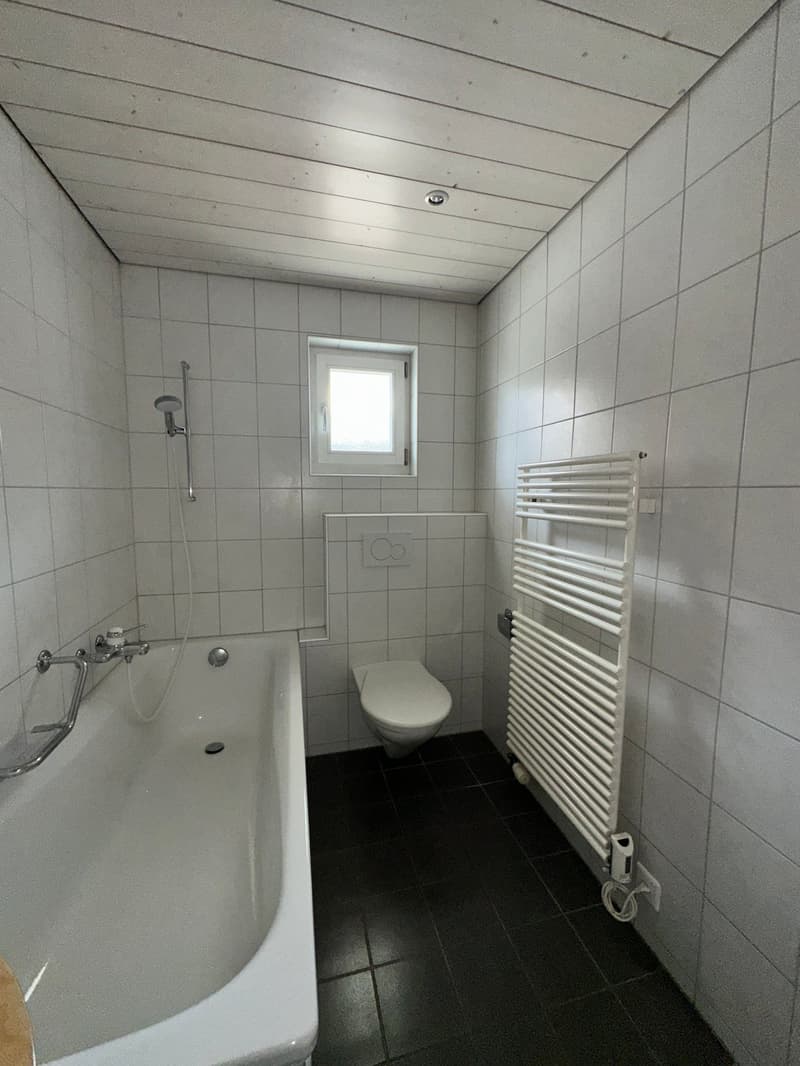 wunderschöne 5.5 Zimmer Maisonette-Wohnung mit Top-Aussicht in Grossaffoltern (15)