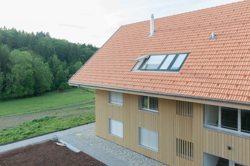 Grosszügige, moderne 4 1/2-Zimmer-Dachwohnung mit Galerie und Sicht ins Grüne in Rapperswil / BE (15)