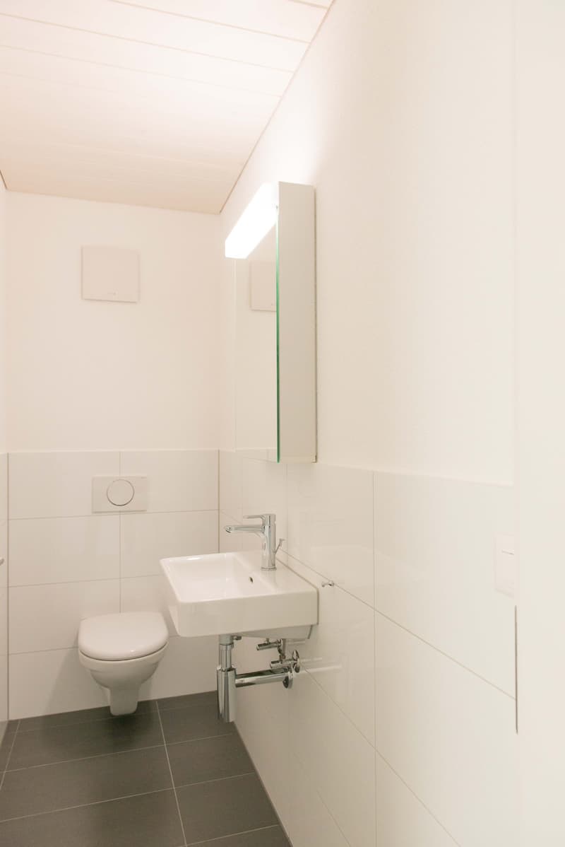 Grosszügige, moderne 4 1/2-Zimmer-Dachwohnung mit Galerie und Sicht ins Grüne in Rapperswil / BE (14)