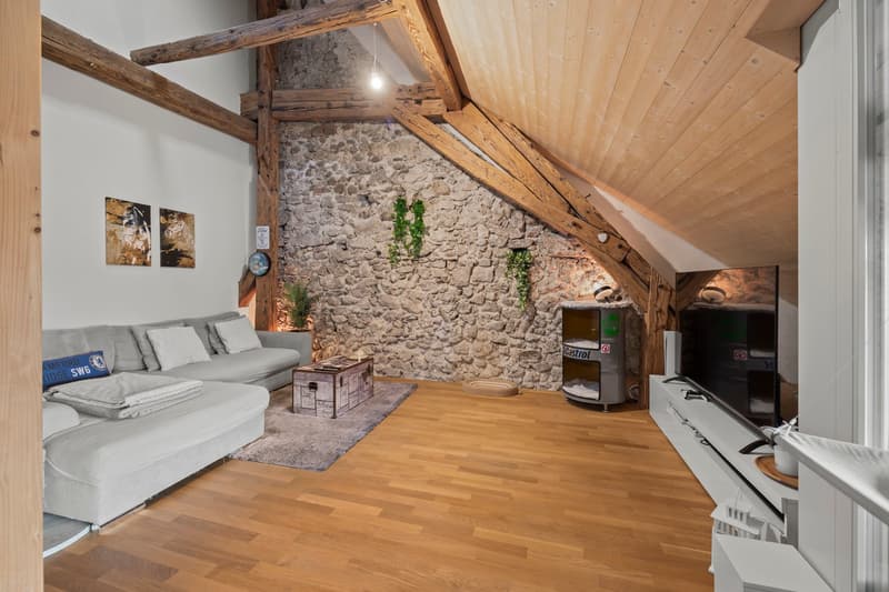 aussergewöhnlich, charmant, grosszügig: 2.5-Zi-Loft-Whg in Büren an der Aare (5)