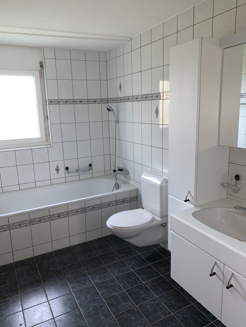 grosszügige und helle 4.5 Zi-Whg. im ländlichen Rapperswil/BE (7)