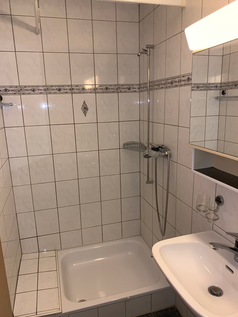 grosszügige und helle 4.5 Zi-Whg. im ländlichen Rapperswil/BE (9)