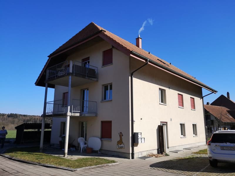 grosszügige und helle 4.5 Zi-Whg. im ländlichen Rapperswil/BE (2)