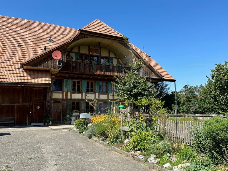 4-Zimmer Bauernhaus Whg. in Wierezwil/Gde. Rapperswil BE mit viel Wohnfläche und Charme! (3)