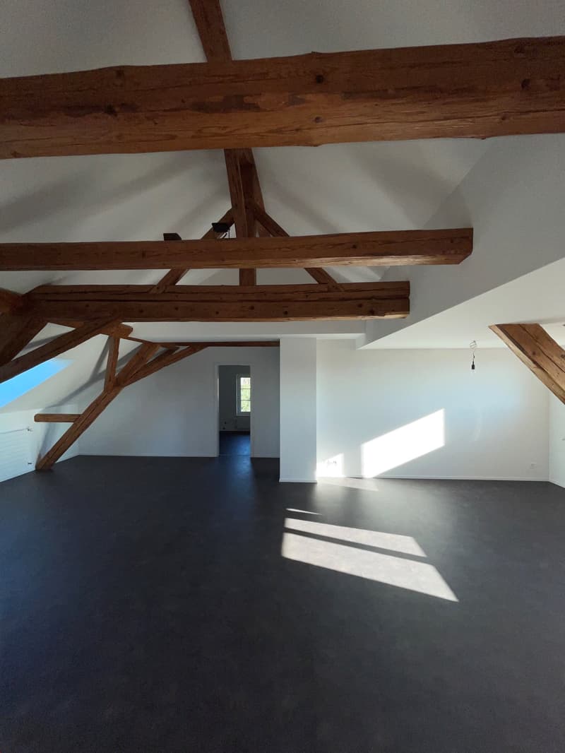 modern und hell: 3.5 Zimmer-Dachwohnung in Rapperswil/BE (7)