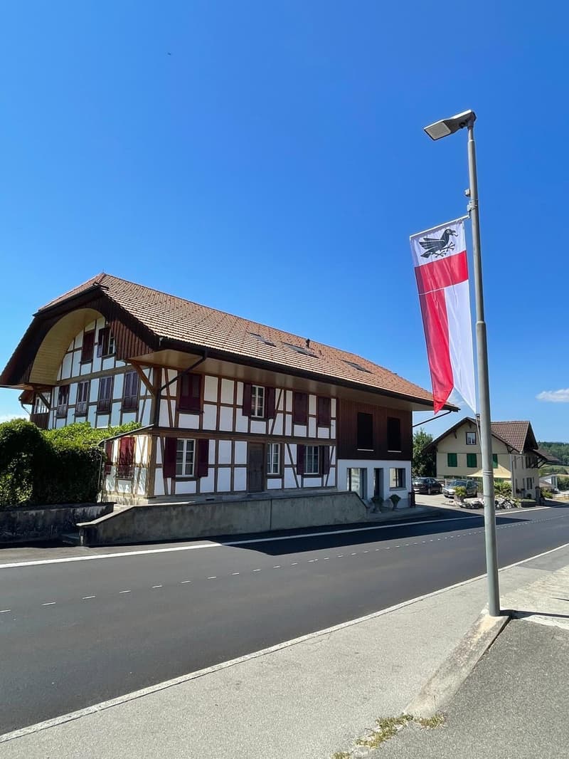 modern und hell: 3.5 Zimmer-Dachwohnung in Rapperswil/BE (1)