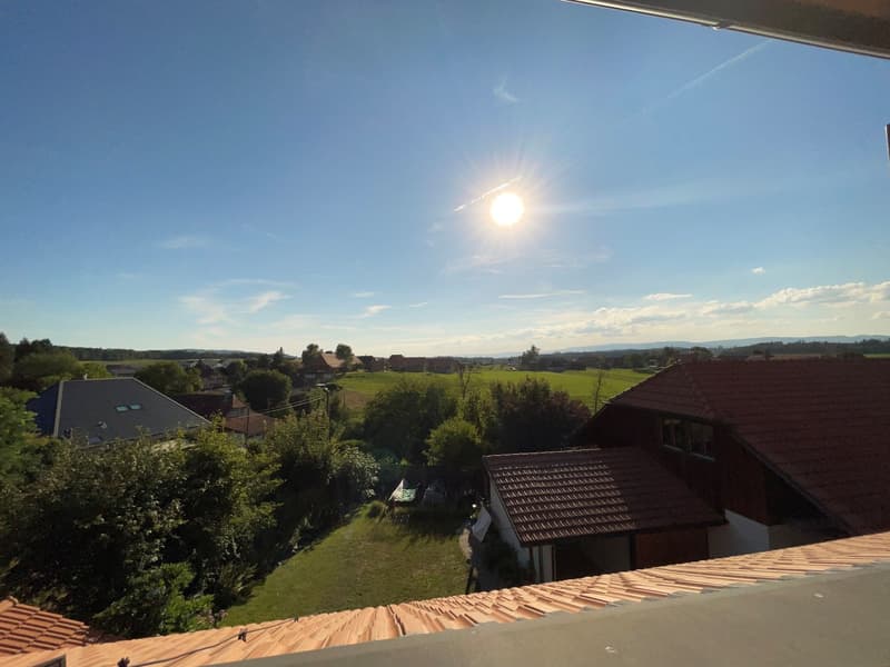 modern und hell: 3.5 Zimmer-Dachwohnung in Rapperswil/BE (11)