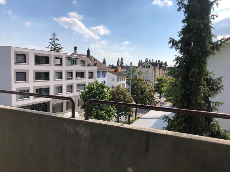 4 1/2 Zi-Wohnung in Biel zu vermieten (8)