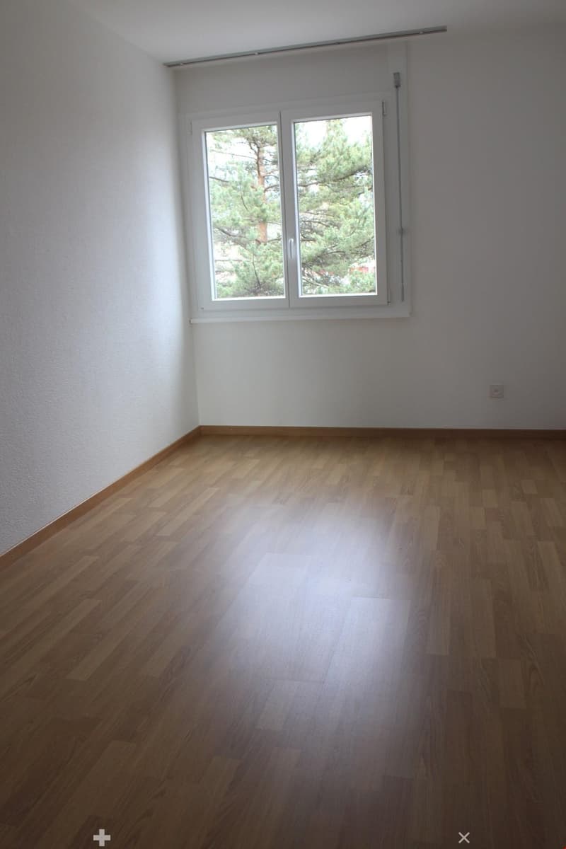 4 1/2 Zi-Wohnung in Biel zu vermieten (5)