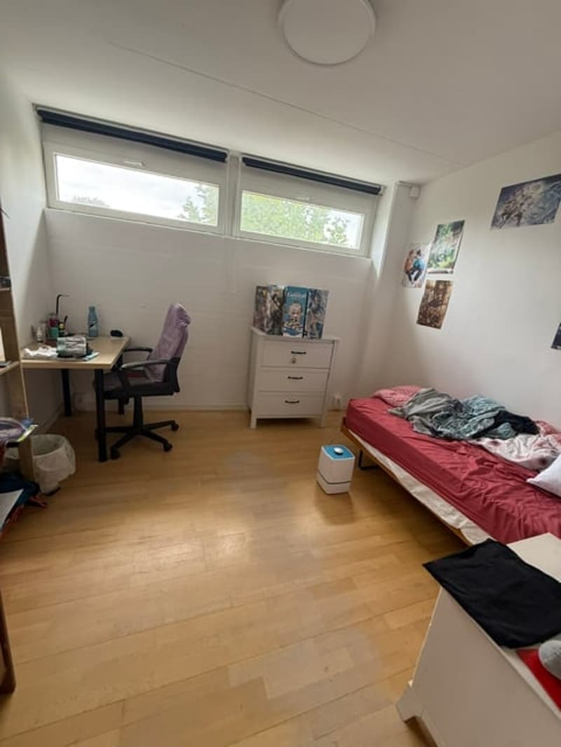 Grosse Wohnung / Loft Duplex zu vermieten in Nidau (11)