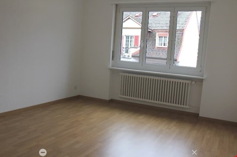 3 1/2 Zimmer in Biel (5)