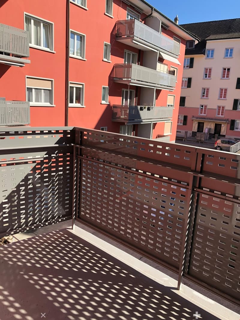 3 1/2 Zimmer in Biel (6)