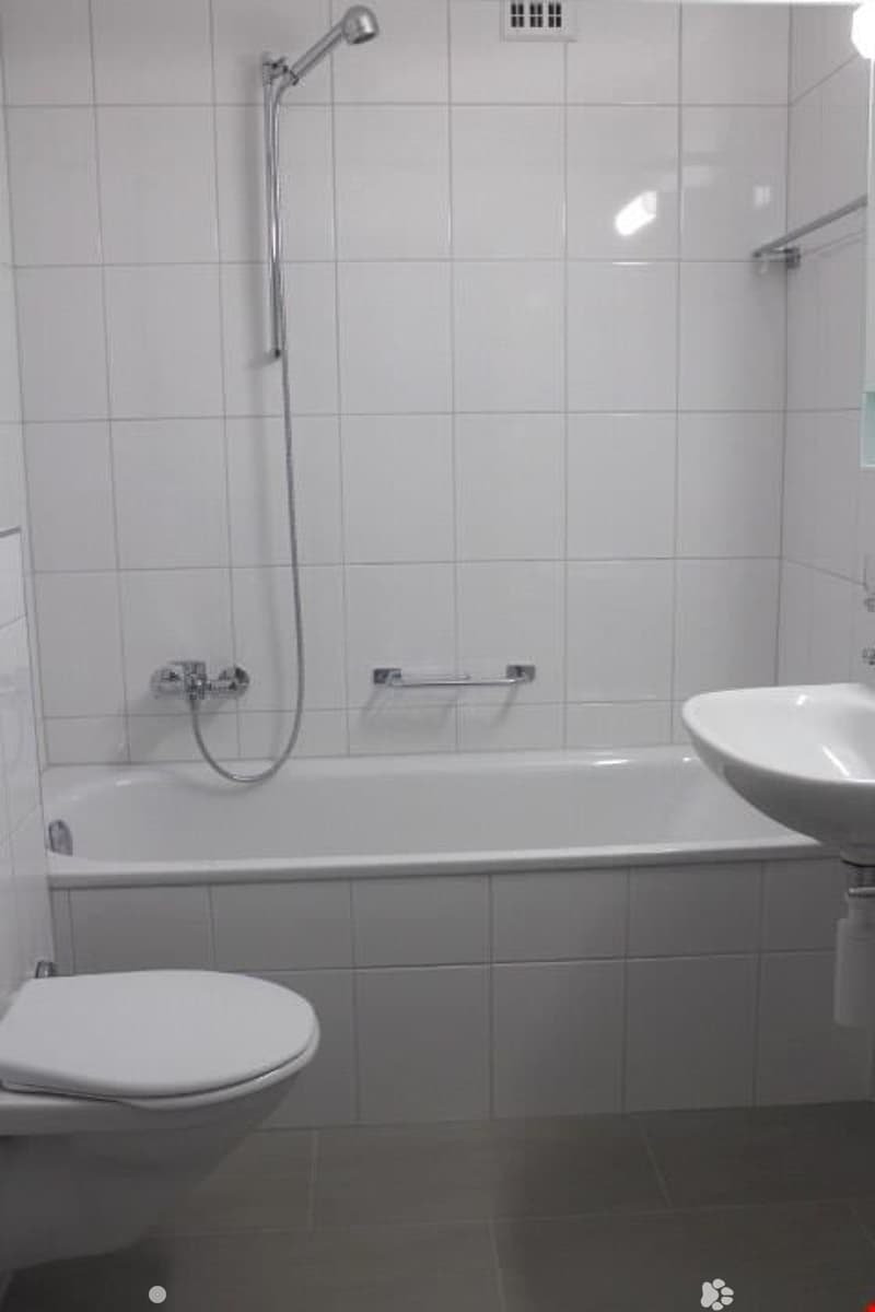 3 1/2 Zimmer in Biel (3)
