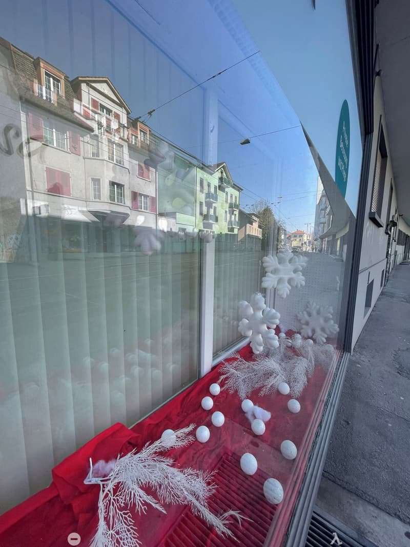 Fensterfront / Doppelverglasung