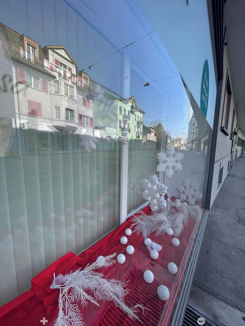 Fensterfront / Doppelverglasung