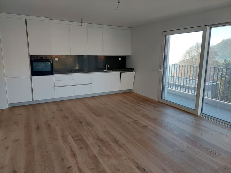 Cademario - ULTIMO 3.5 locali in vendita (2)