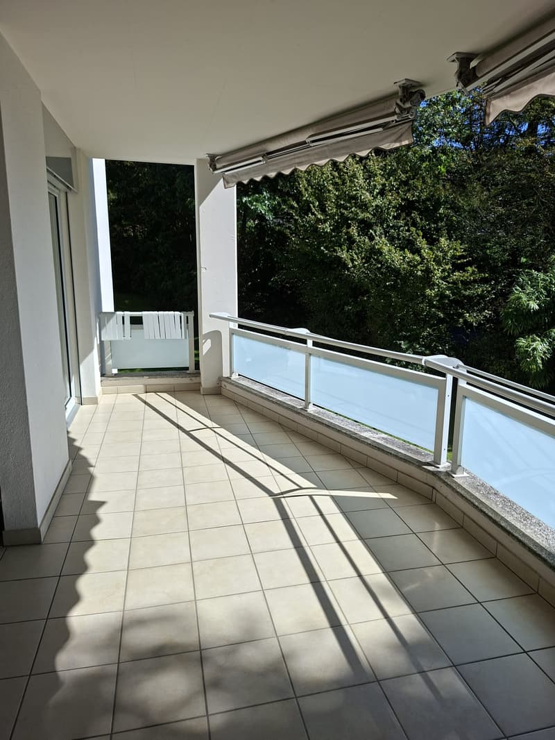 Vezia - Affittasi spazioso appartamento di 4.5 locali con ampia terrazza (12)