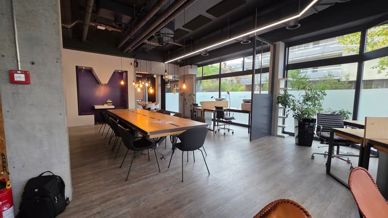 Meeting room, tables and chairs, glass walls, lamps, plants
