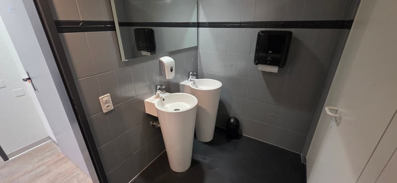 A small bathroom with a mirror, a toilet paper dispenser, and two white pedestal sinks with faucets