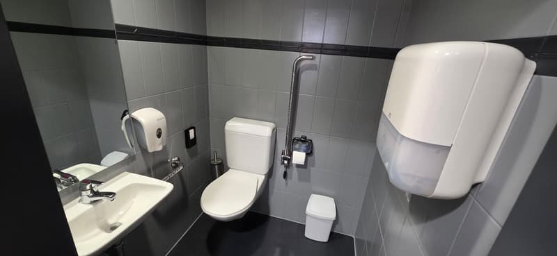 gray tiles, white sink, toilet, towel dispenser, trash can