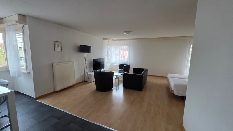 2 single beds, 2 black arm chairs, black lamp, tv stand, TV, glass table, white radiator, wall picture